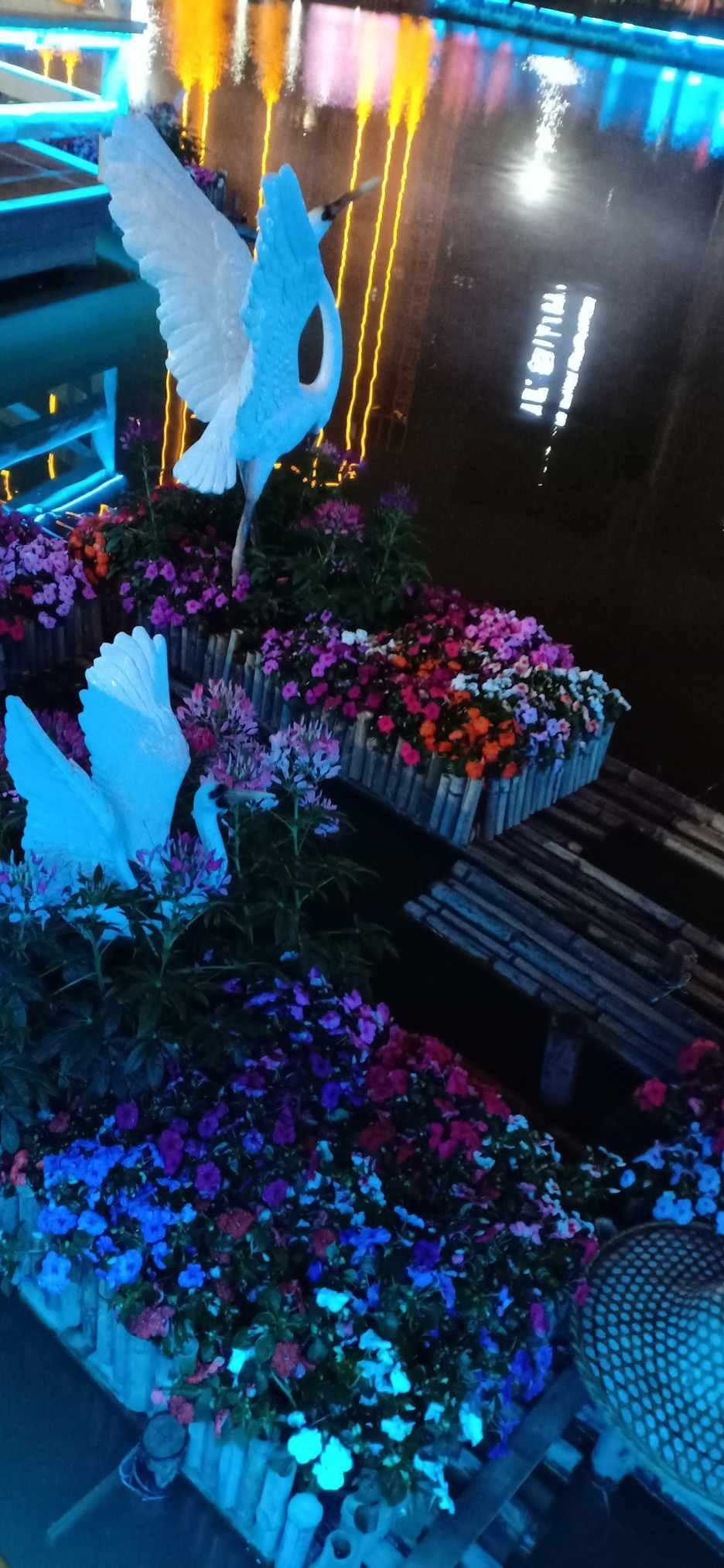 寻找沙漠珍宝